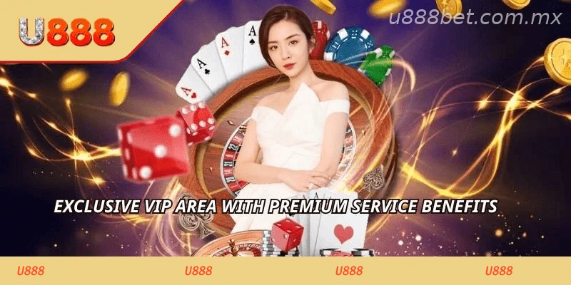 Exclusive VIP area with premium service benefits